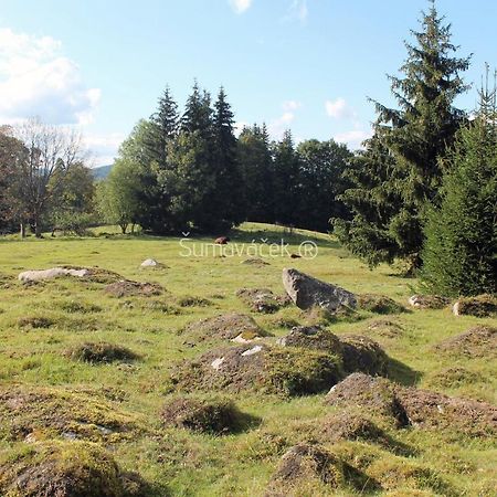 Sumavacek - Exclusive Lägenhet Stožec Exteriör bild