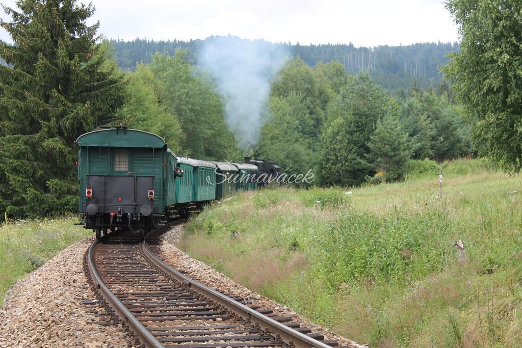 Sumavacek - Exclusive Lägenhet Stožec Exteriör bild