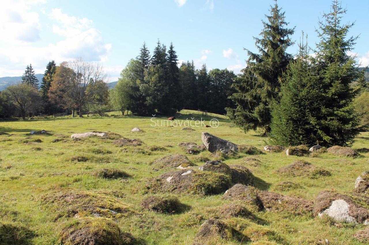Sumavacek - Exclusive Lägenhet Stožec Exteriör bild